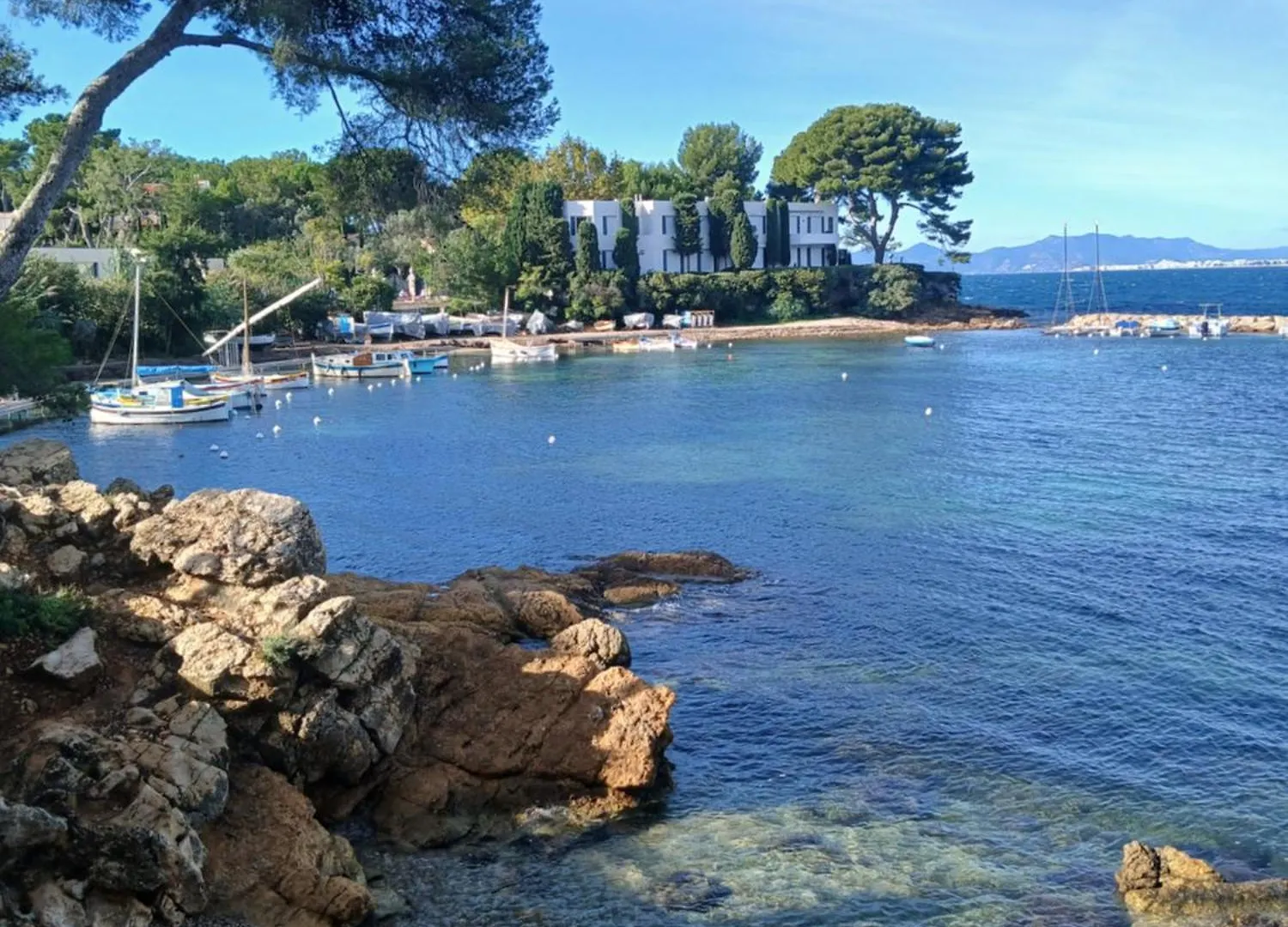 L'Olivaie Apartment Antibes